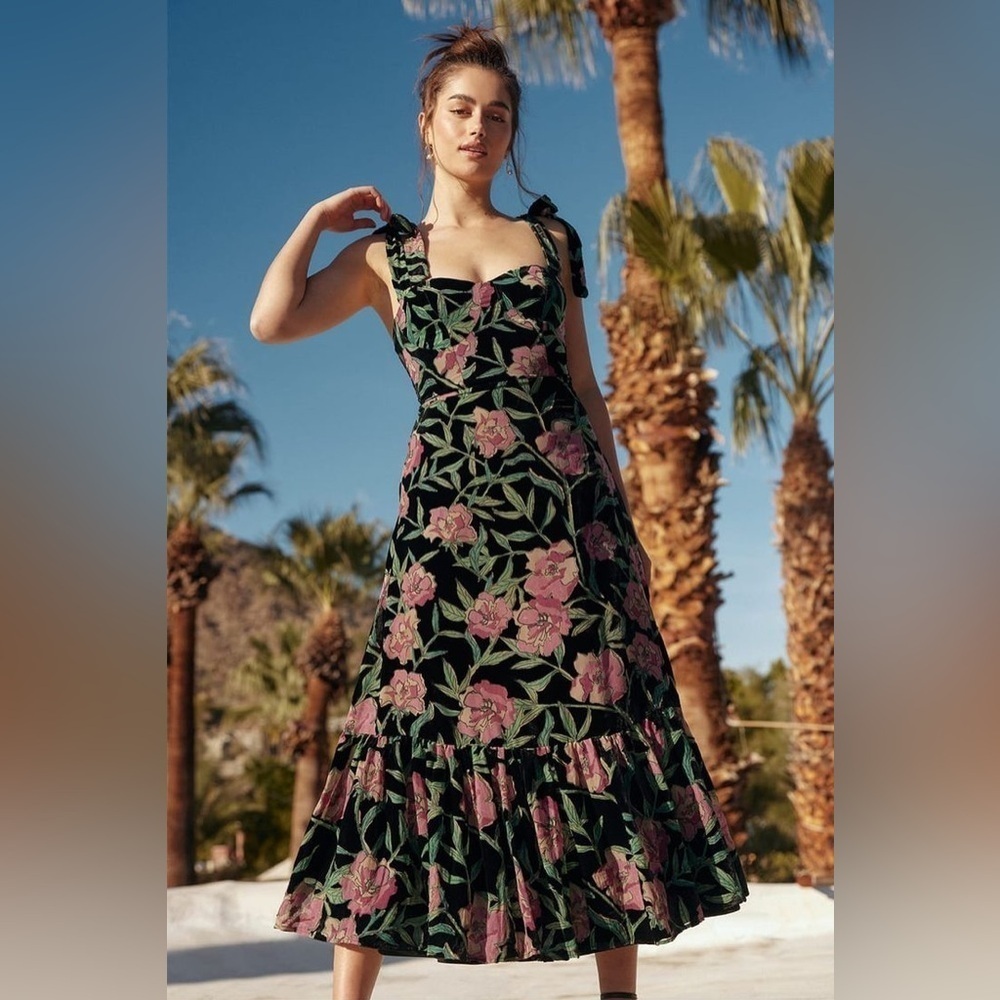 NWT Lulus Glorious Garden Black Floral Print Burnout Velvet Maxi Dress sz XS - Picture 1 of 9